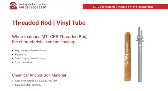Epoxy Stainless Threaded Rod Anchor Bolt SS304 316 Stainless Sharp End ETA Approval